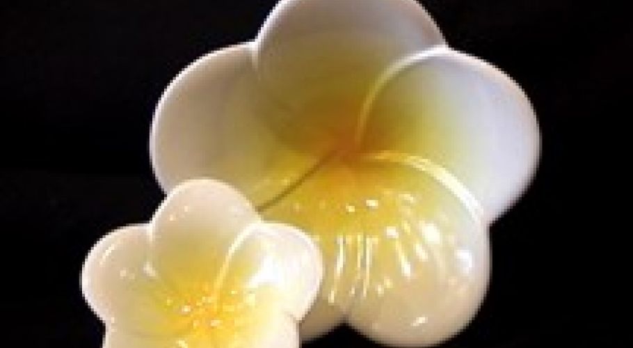 2plumeria